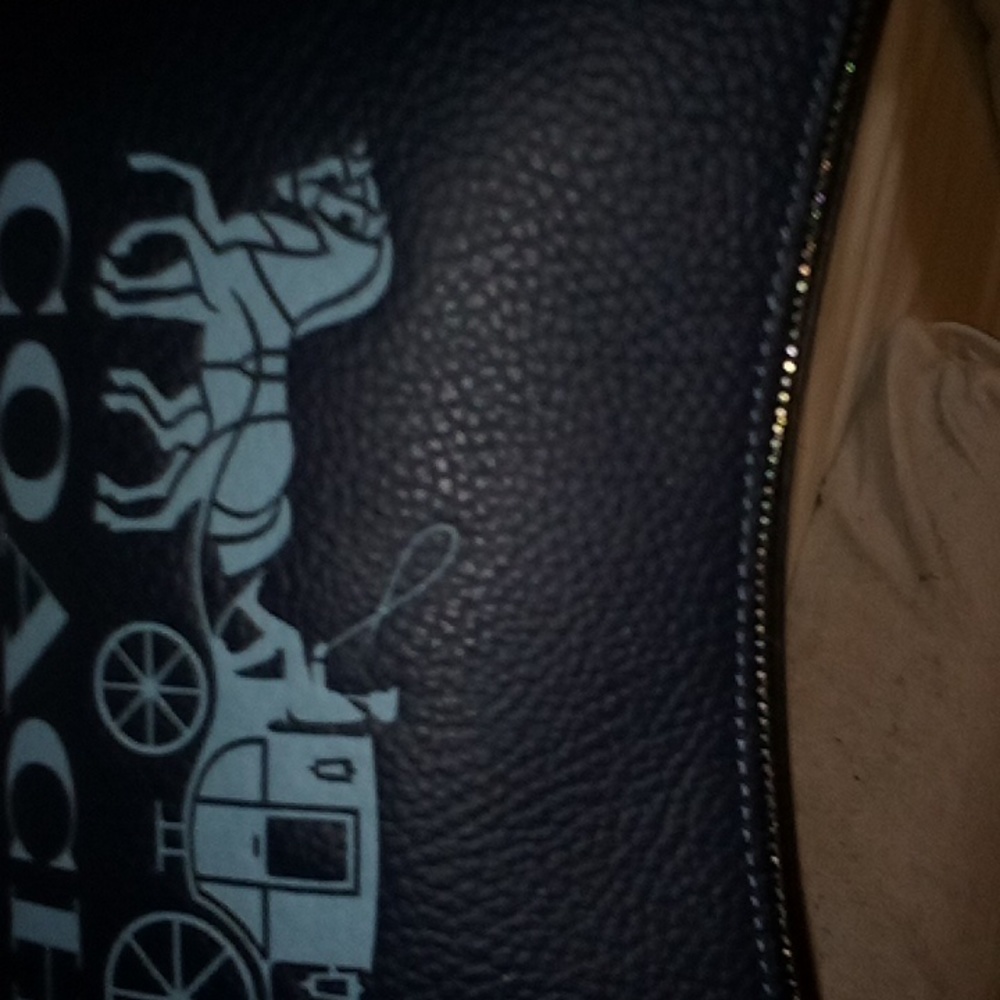 Coach bag